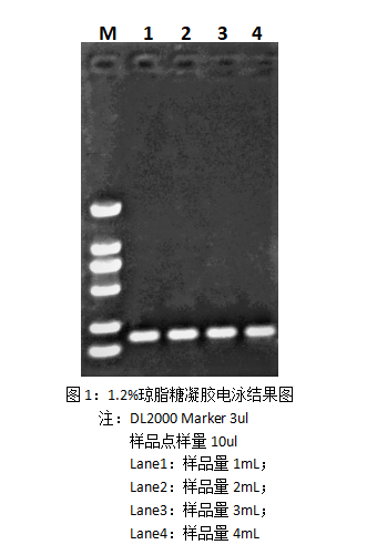 1753251480242268.png 图片1.png